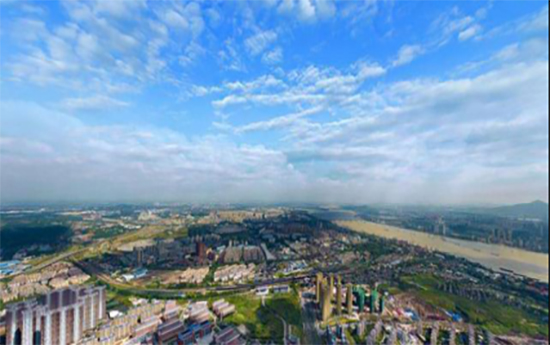 ȥ����2022ȫ��(gu��)ֲ����(hu��)��������Щُ(g��u)����c(di��n)