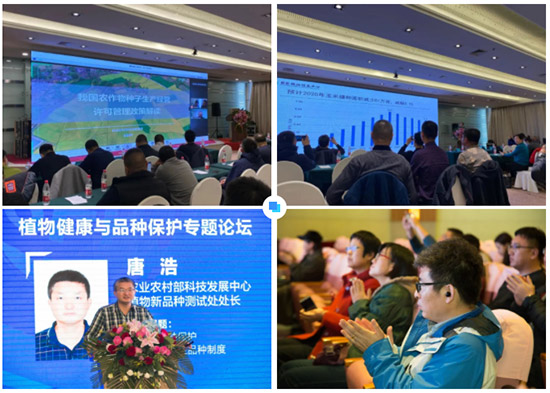 2022�����I�r(n��ng)�Y���[��17