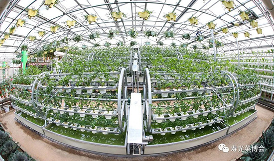 �ڶ�ʮ���É۹�˲���(hu��)6