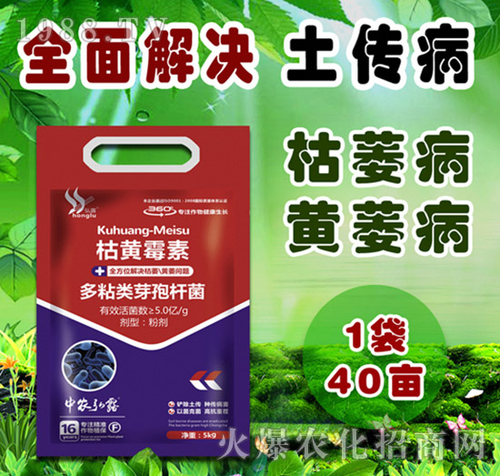     �����Բ�������Щ������ˎ����ô�x��һƪ�����f����