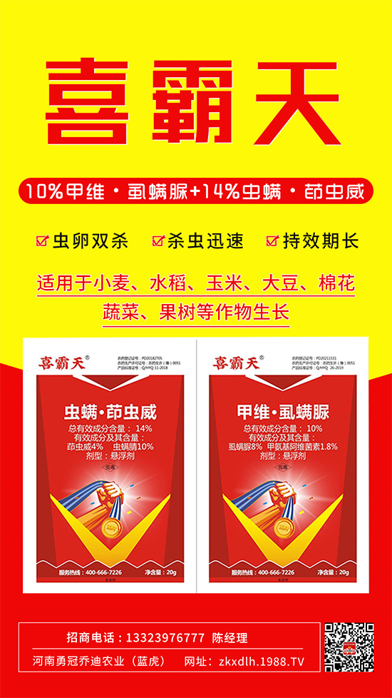 小菜蛾、菜青蟲危害重太難打?這樣用藥!一打一個(gè)準(zhǔn)!