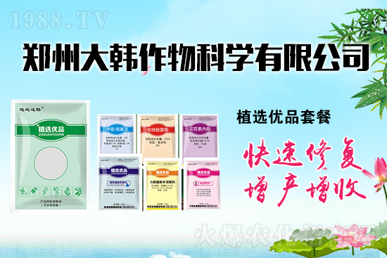 ����ˎ���ʺ��l�l(f��)��ô�k���l(f��)��ˎ���ʺ�����a����