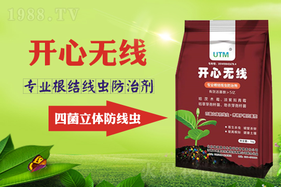 ���Y���xΣ���������x������Ҋ�R����