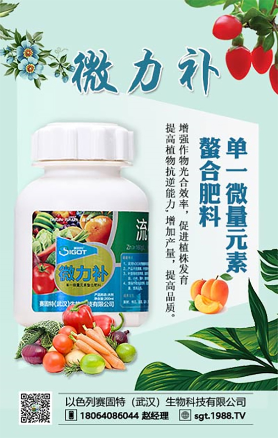 ���ι���С�~���S�~����������������