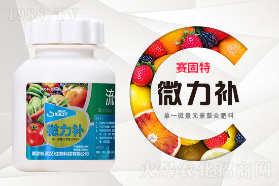 ���ι���С�~���S�~����������������