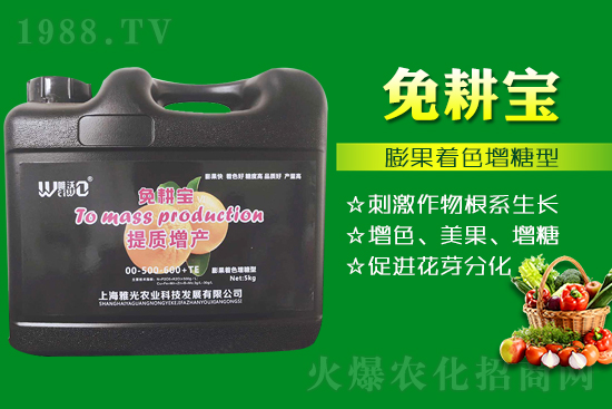 番茄催紅措施怎么做？有什么技巧？