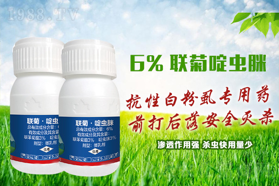 ���԰׷�ʭ�y�����y�����@����ˎ�x���p�������x��