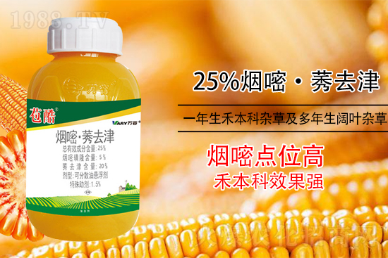 ���׳��ݣ��e���@�׷N���݄���