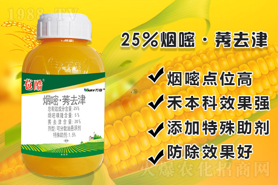 ���׳������e���@�׷N���݄���