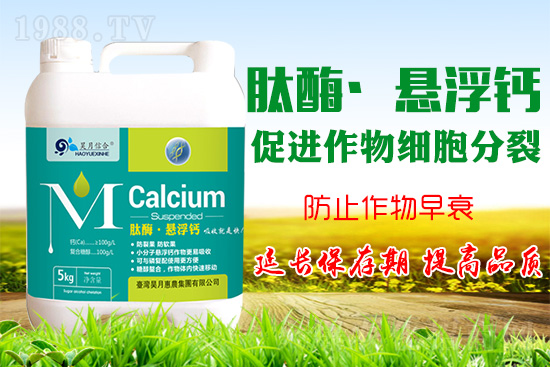 �O���仨���a(b��)�}���P(gu��n)�I���O���a(b��)�}���Ă��`�^(q��)��֪������