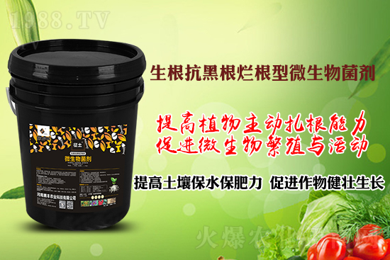 ����ڸ��������S�������l�l(f��)���á������p�ɽ�Q�����f�Nֲ�������ã�