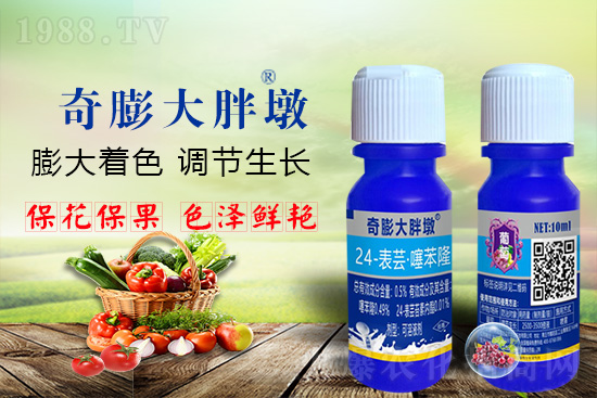     ������Ҫ�߮a(ch��n)��������P(gu��n)�I��������(sh��)���졢�D(zhu��n)ɫ�����u��ѣ����ڵĮa(ch��n)����Ʒ�|(zh��)�����������S��Ĺ��r(n��ng)���r(n��ng)������ӳ�Լҵ���������ס���������������������������������ܛ���չ�����r�l���l(f��)����