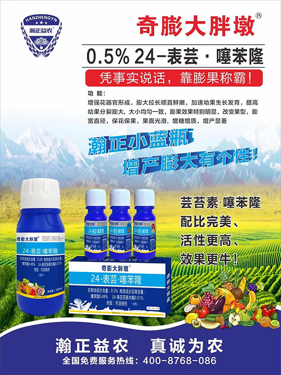     ������Ҫ�߮a(ch��n)��������P(gu��n)�I��������(sh��)���졢�D(zhu��n)ɫ�����u��ѣ����ڵĮa(ch��n)����Ʒ�|(zh��)�����������S��Ĺ��r(n��ng)���r(n��ng)������ӳ�Լҵ���������ס���������������������������������ܛ���չ�����r�l���l(f��)����