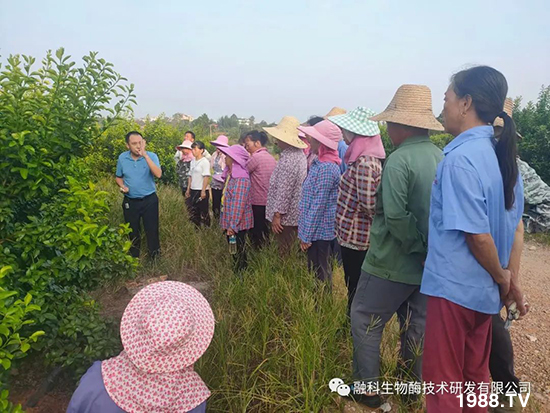 ���M���g���^���������ٮa(ch��n)�I(y��)