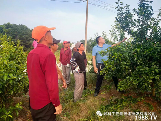 ���M���g���^���������ٮa(ch��n)�I(y��)