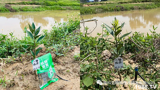 ���M���g���^���������ٮa(ch��n)�I(y��)