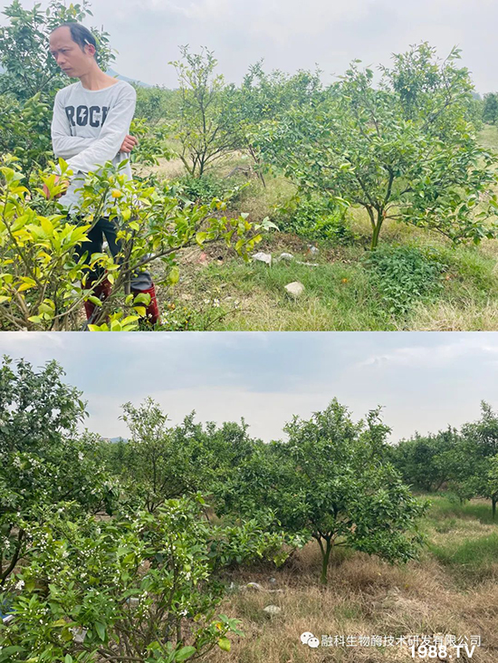 ���M���g���^���������ٮa(ch��n)�I(y��)