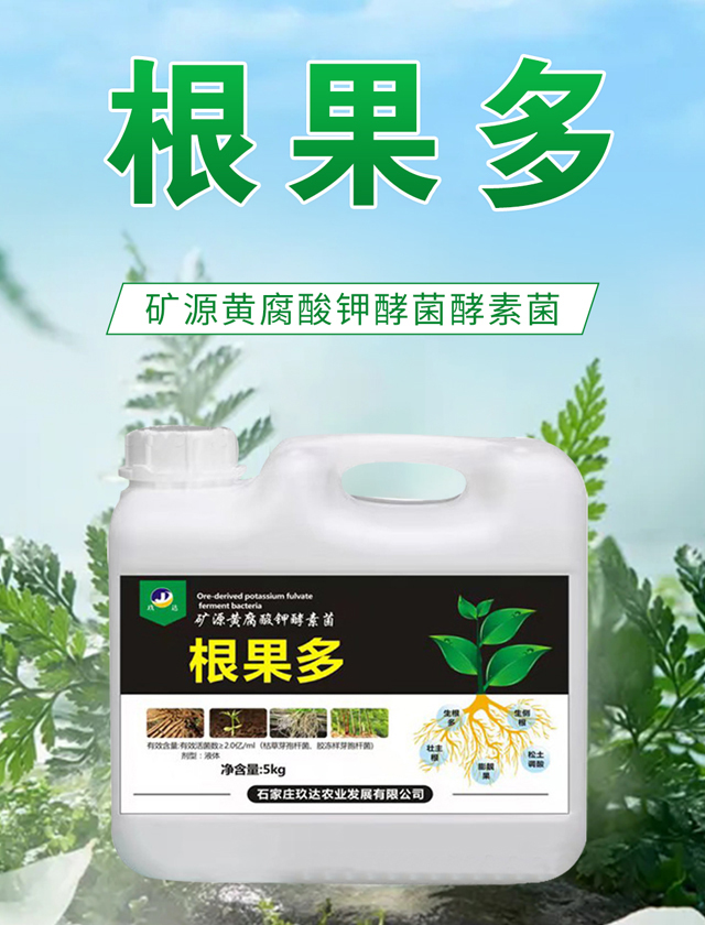 ������-���_(d��)�r(n��ng)�I(y��)_01