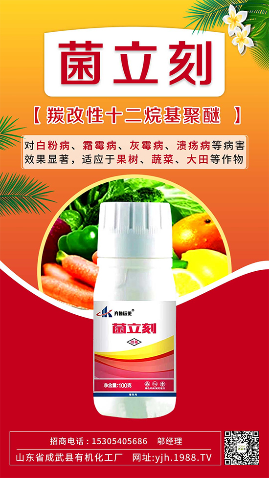 ����˪ù��߀�ǰ׷۲����e��ɵɵ�ֲ���������ηֱ漰������