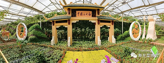 �ڶ�ʮ���É۹�˲���(hu��)3