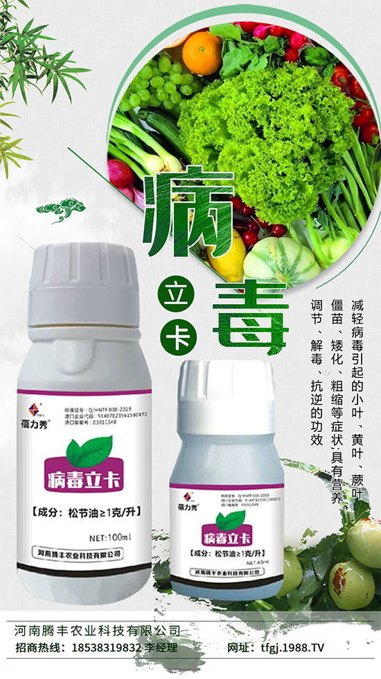 病毒病一種是由植物病毒寄生引起的病害。種類少、危害大,易得難治。在侵染蔬菜植株后會與蔬菜爭奪生長必需的養(yǎng)分,同時會影響植株的養(yǎng)分傳輸,抑制光合作用的進(jìn)行