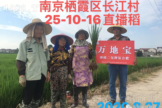 ˮ�����Y���Ì��a(ch��n)���ж��Ӱ푣����M(j��n)ˮ�����Y��ô����