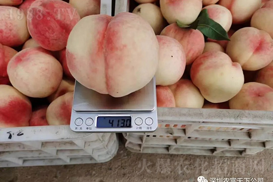 �Ҙ������ô�k���Ҙ����ԭ���A������