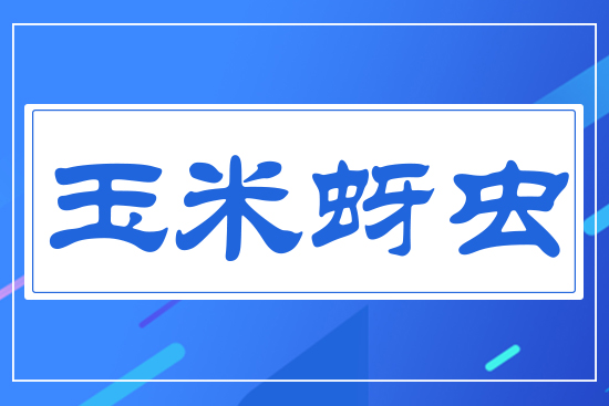 �������x(ch��ng)