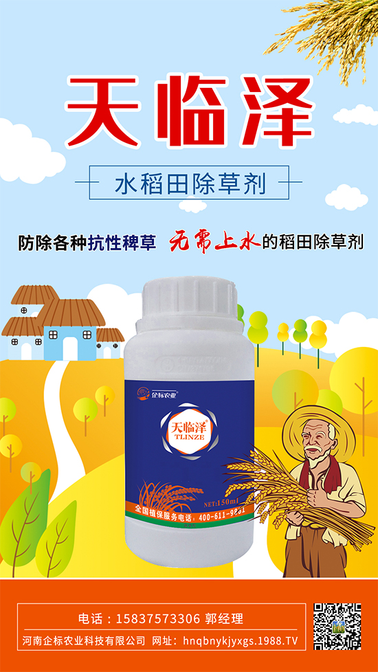 水稻田抗性稗草怎么防除?稻田青稗怎么用藥?