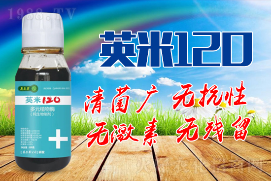 枸杞白粉病的癥狀是什么?枸杞白粉病防治方法!