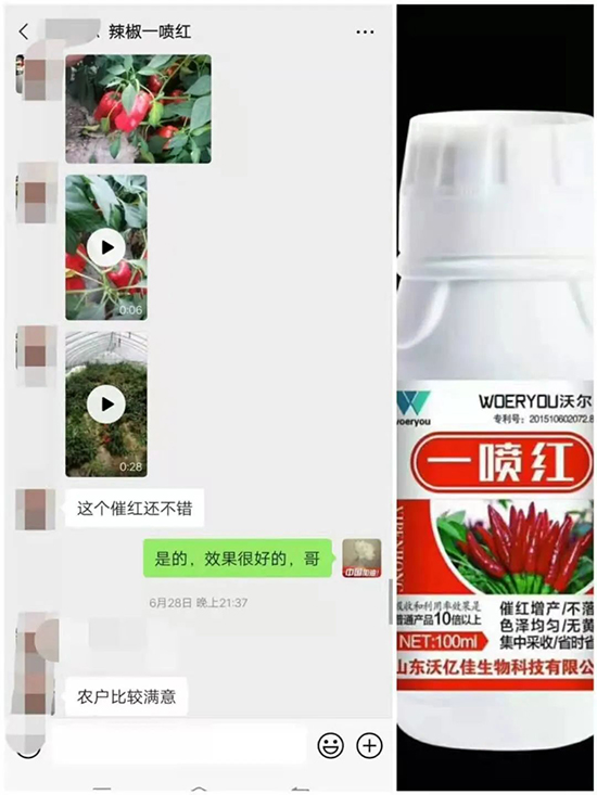 ���t�����95%���߼t�����~�����뷭�׷�����������һ���t��