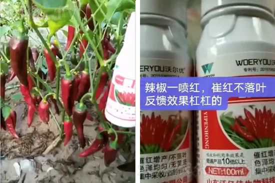 ���t�����95%���߼t�����~�����뷭�׷�����������һ���t��