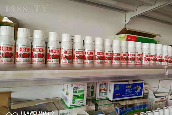 ���t�����95%���߼t�����~�����뷭�׷�����������һ���t��