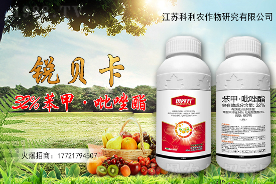 ԭˎ�r(ji��)��