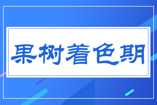 ������ɫ��