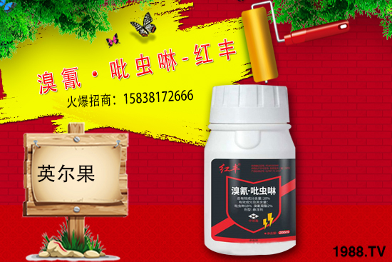 ��䚢�x��