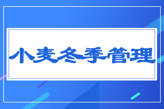 С����������