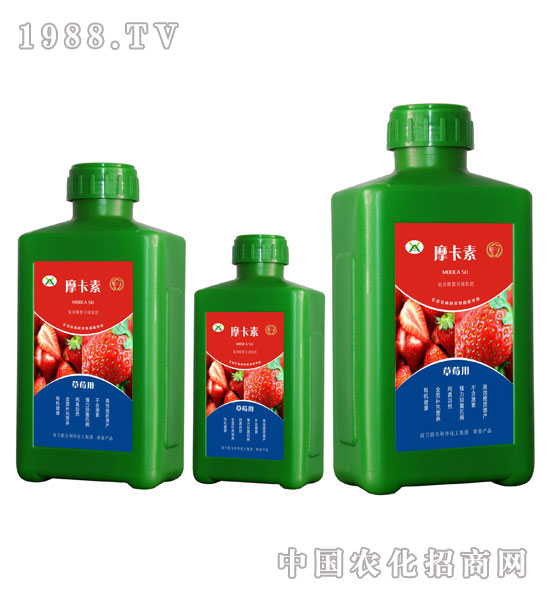 ��ݮ���ð���������Һ�ķ�-Ħ����-��(qi��ng)о��(gu��)�H