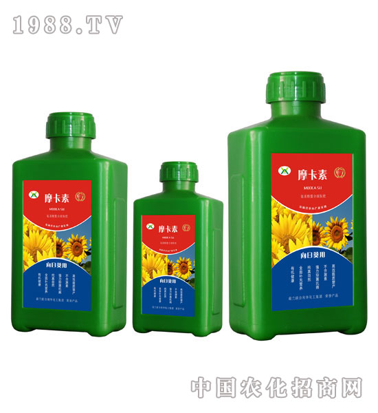 ���տ����ð���������Һ�ķ�-Ħ����-��(qi��ng)о��(gu��)�H