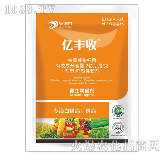 ���ΰ׷۲��P��-�|�S��-����̩