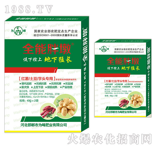 �t�������������^����-ȫ���ֶ�-���