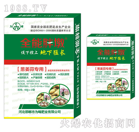 �[���⌣��-ȫ���ֶ�-���