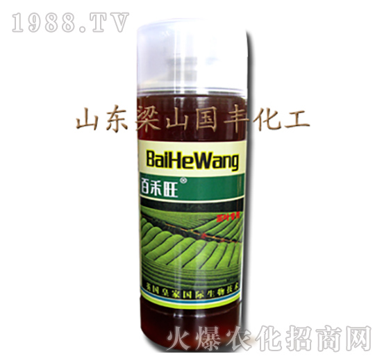 茶葉專用葉面肥-梁山國(guó)豐