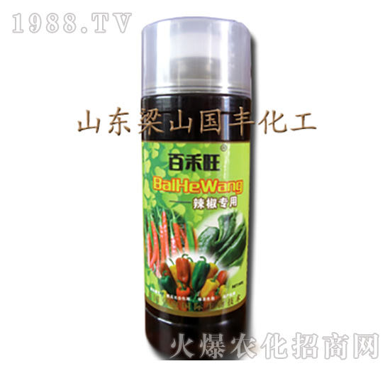 ���������~���-��ɽ��(gu��)�S