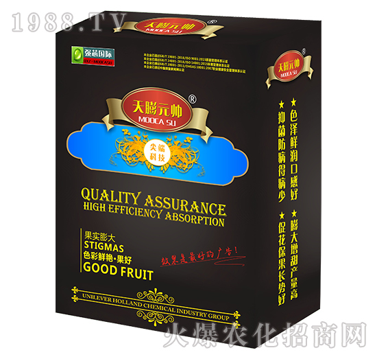 ����Ԫ��-��(qi��ng)о��(gu��)�H