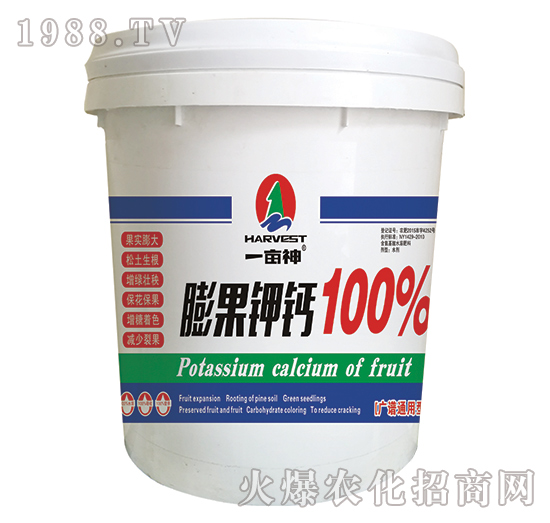 �����}-һ����