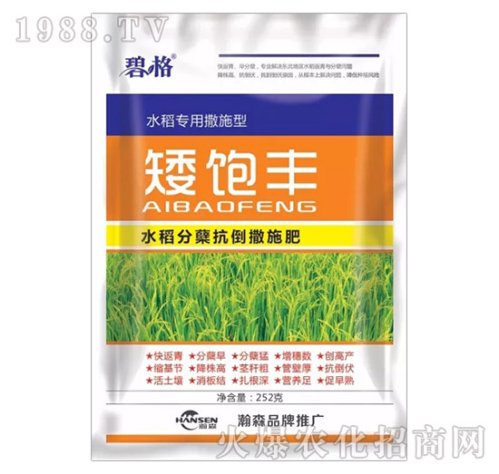 ˮ�����Y������ʩ��-����S-�ɭ�r(n��ng)�I(y��)