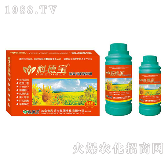 �Ͳ������տ����àI(y��ng)�B(y��ng)���a(ch��n)�{(di��o)�턩-�Ƶ�