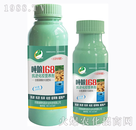 ���滯�ؠI(y��ng)�B(y��ng)��-���Z168����-��̩���