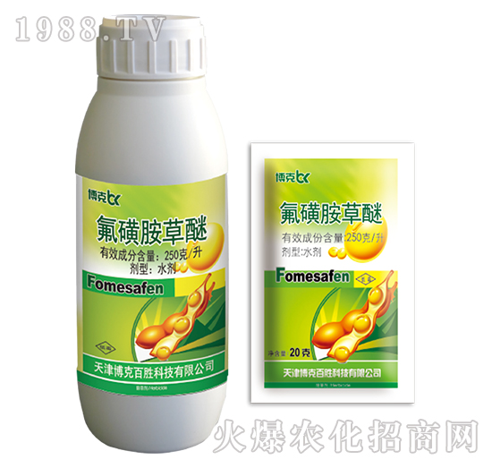 250��ÿ�����ǰ�����-���˰ل�